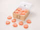 Maritime Motivseife Oktopus 40 g „Pink Grapefruit“