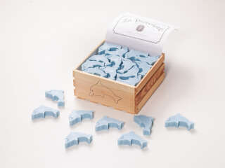Maritime Motivseife Delfin 40 g „Wild Ocean“
