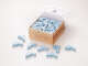 Maritime Motivseife Delfin 40 g „Wild Ocean“