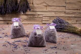 Lavendel aus Provence im Oraganzabeutel
