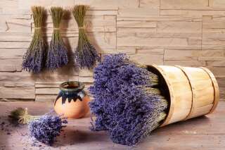 Lavendelstrauß aus der Provence